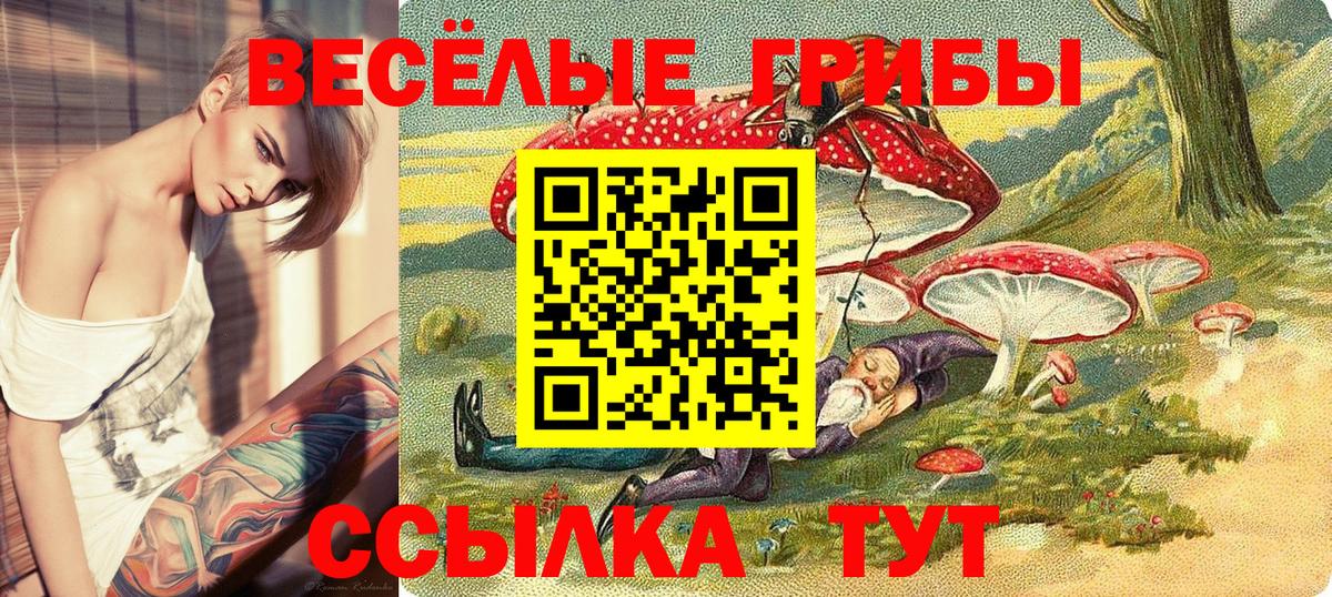 Галлюциногенные грибы мицелий  Вход с VPN  Артёмовский 