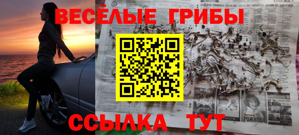 Псилоцибиновые грибы мицелий Артёмовский