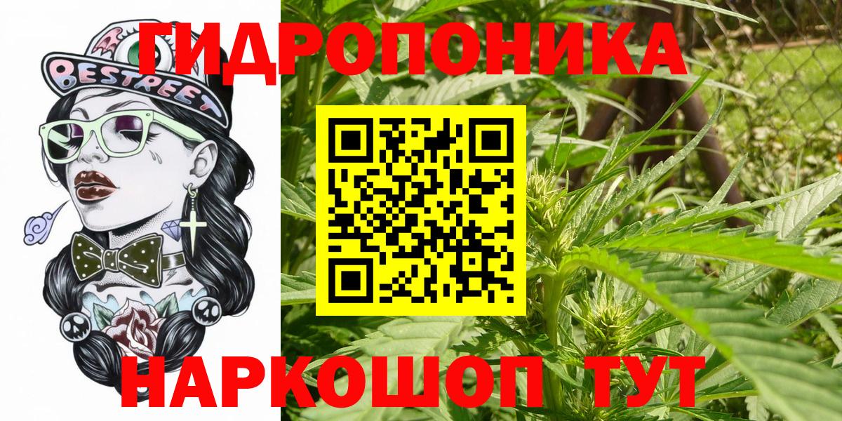 Конопля Bruce Banner  Вход с VPN  Бошки марихуана ГИДРОПОН  Каннабис Bruce Banner  Артёмовский  Марихуана план 
